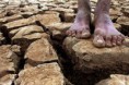 /album/curiosidades/a832d3e4ac18f1c17f5f2ef66155923ea441-jpg/