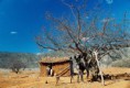 /album/curiosidades/db03229aa6cb79249d84a3c50896a710994-jpg/