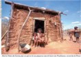 /album/curiosidades/familia-jpg/